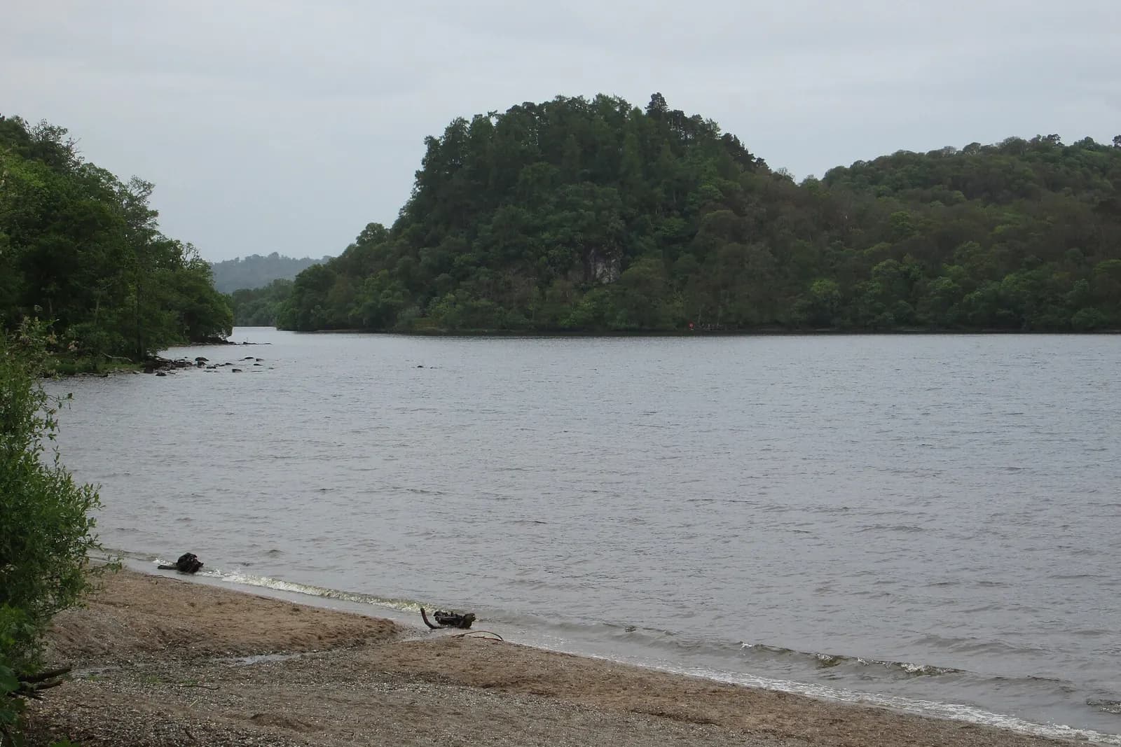 The wooded island of Inchcailloch rising from the calm water of Loch Lomond