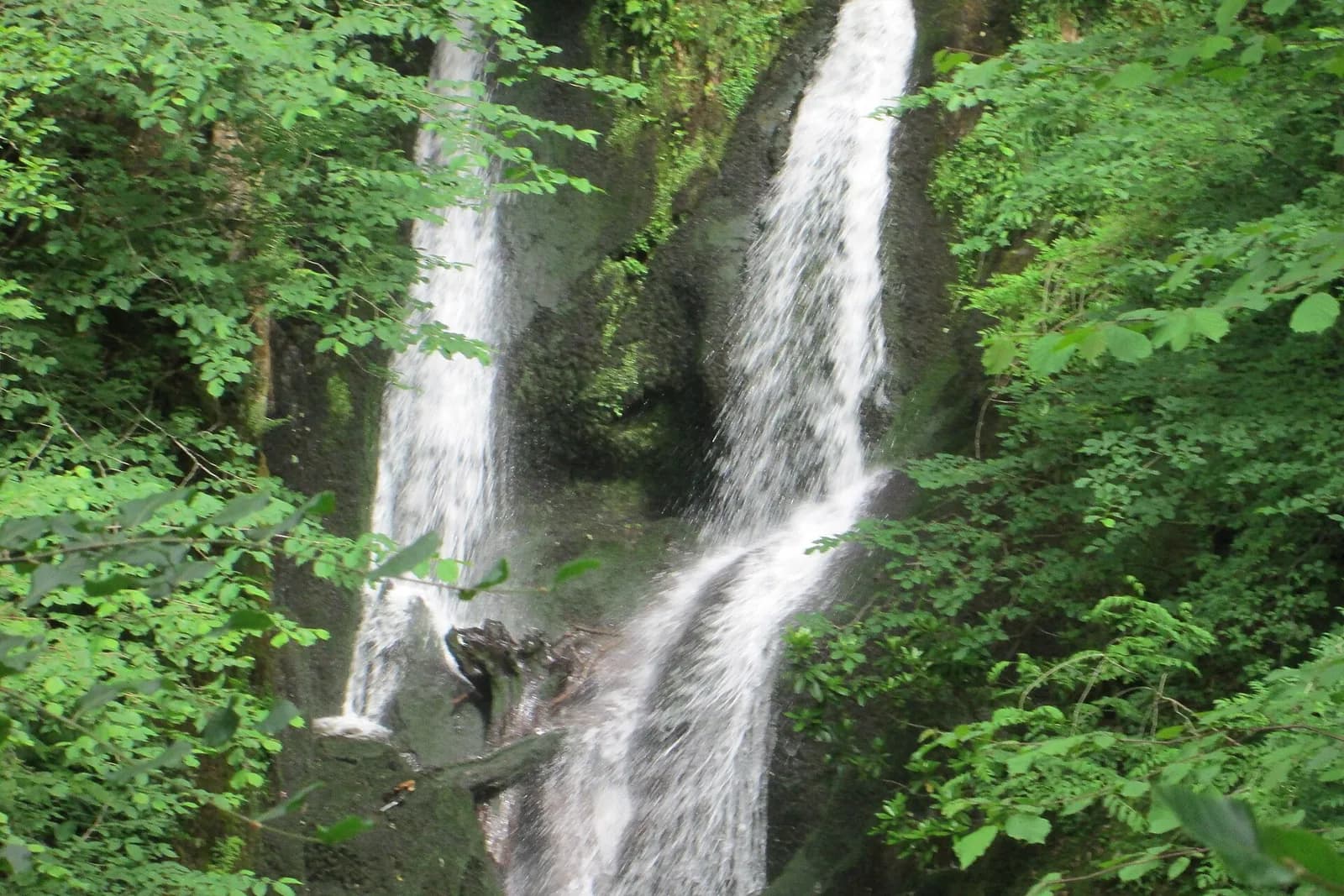 Stock Ghyll Force tumbling down a rocky gorge among green trees