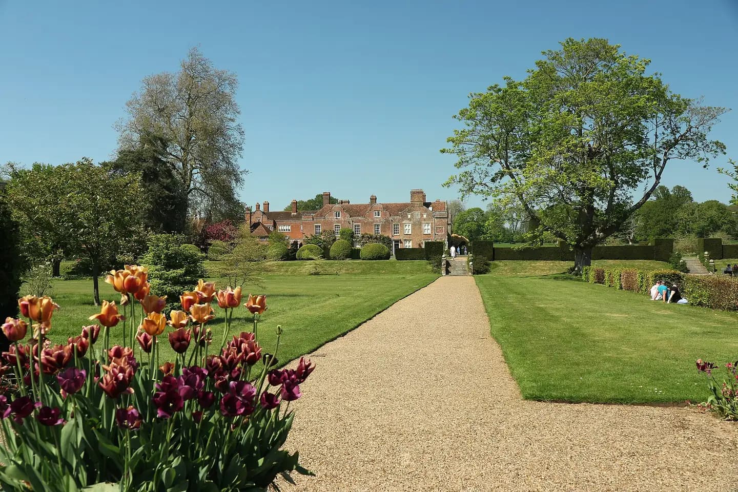 Tulips and a gravel path through the gardens to Godinton House