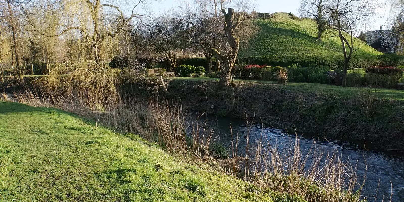 The River Stort winding past grassy banks and willow trees in Bishop's Stortford