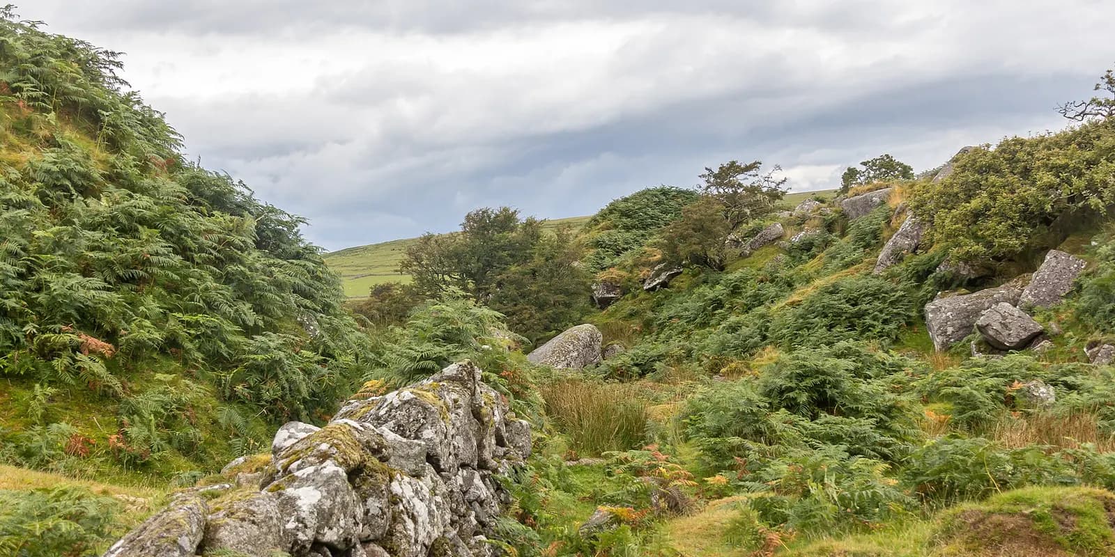 Rocks, bracken and rough grass on Bodmin Moor under a cloudy sky