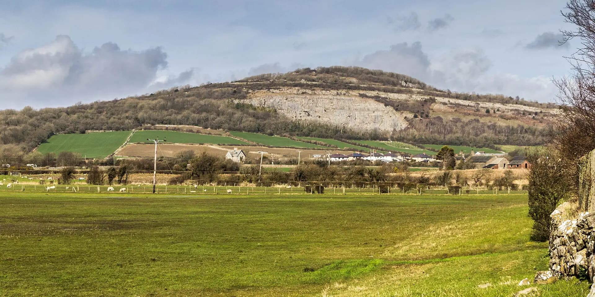 The wooded limestone hill of Warton Crag rising above flat green fields