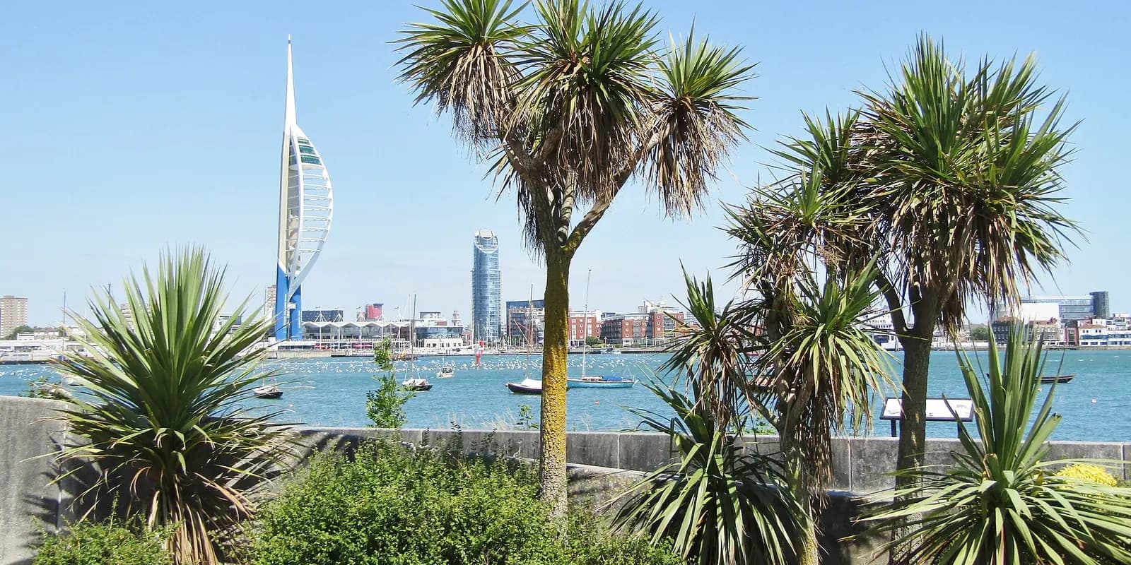 Palm trees on Gosport's waterfront, looking across the harbour to the Spinnaker Tower