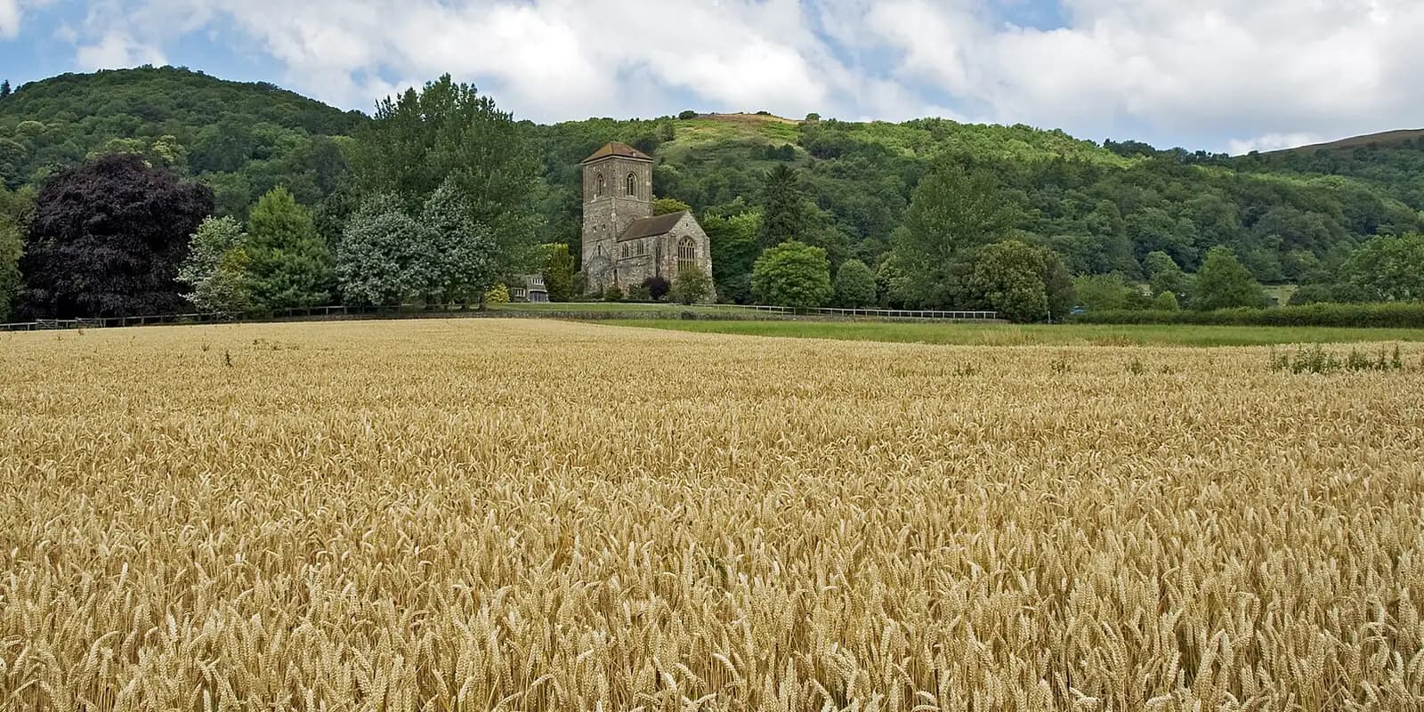 Little Malvern Priory among trees below the wooded Malvern Hills, with a golden wheat field in front