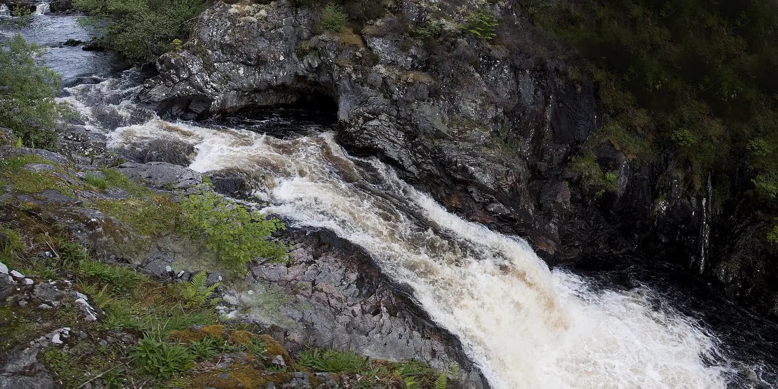 White water rushing over rocks at the Falls of Shin, among dark trees