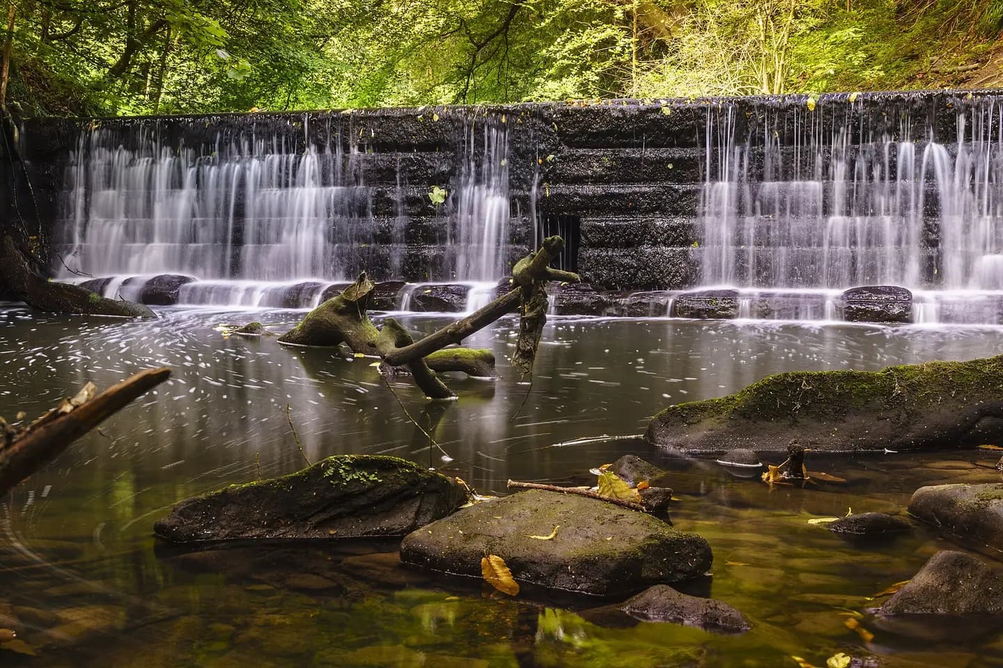 Water spilling over the weir in Jesmond Dene, among mossy rocks and trees
