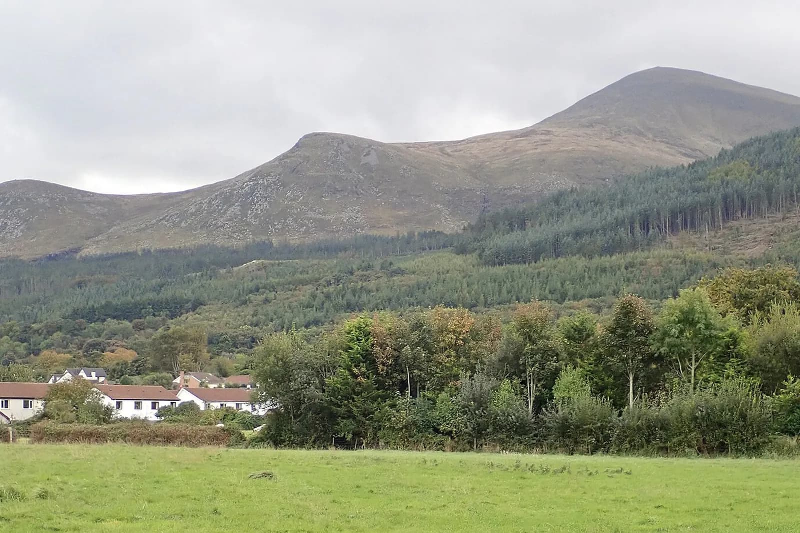 Slieve Donard rising above forest and green fields in the Mourne Mountains