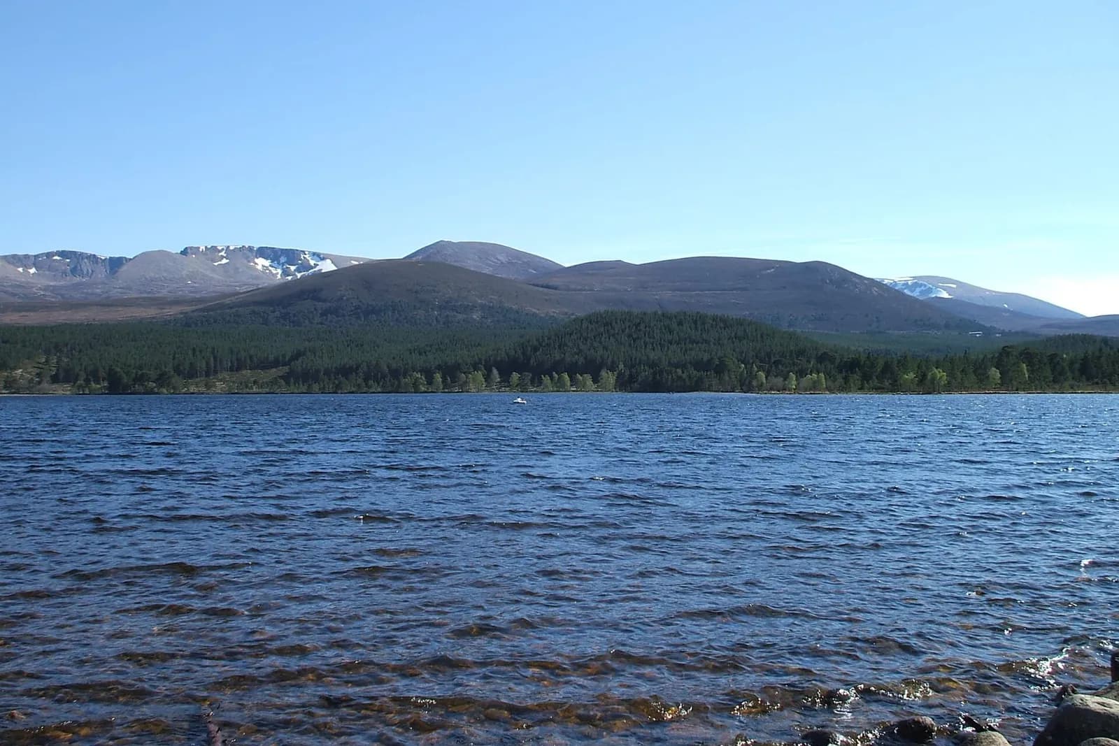 Loch Morlich's choppy blue water below pine forest and the Cairngorm mountains