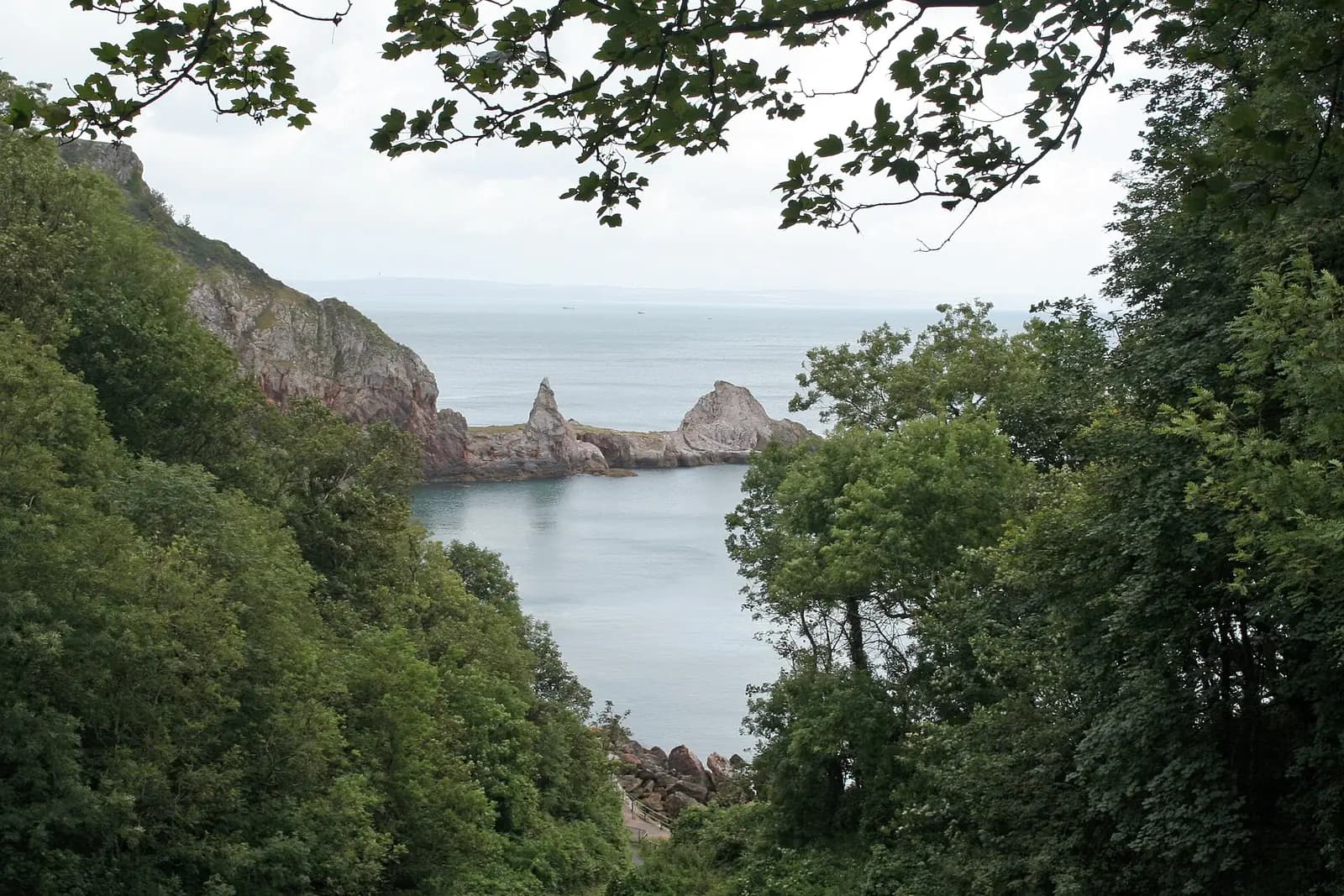 Anstey's Cove seen through the trees, with rocky headlands and calm sea