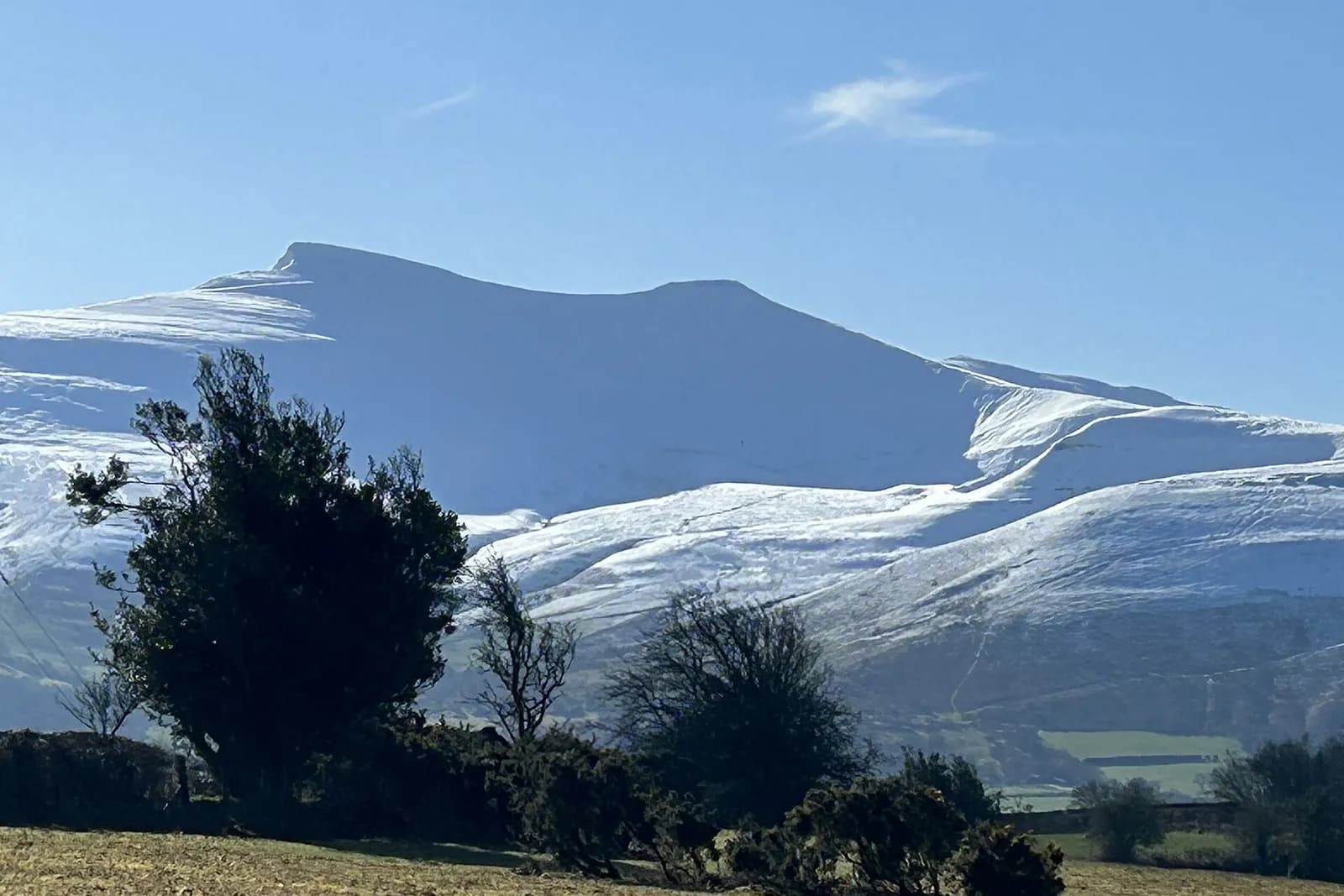 Snow-covered Pen y Fan rising above trees on a clear winter morning