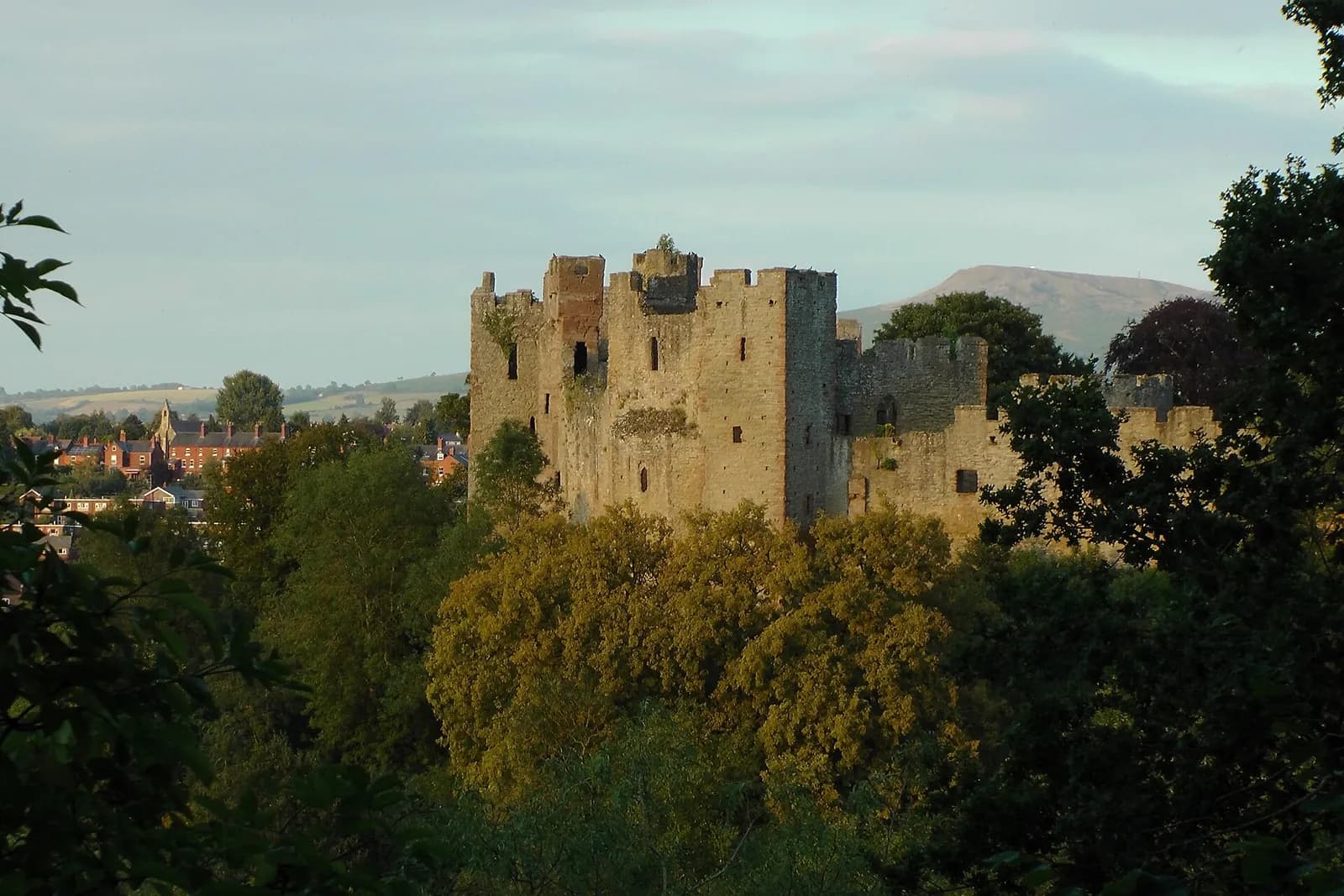Ludlow Castle's keep above trees and the town, in evening light