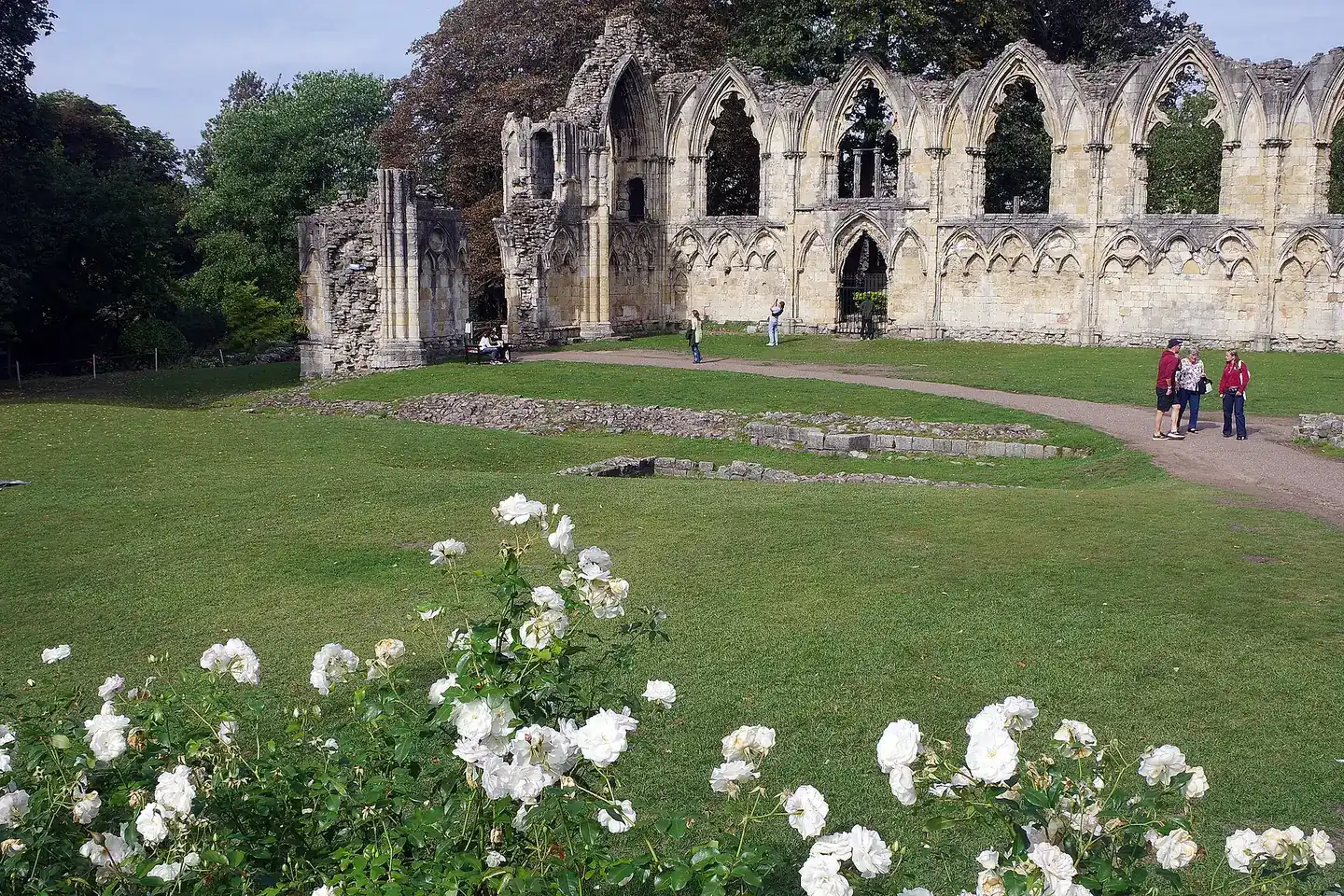 The ruined arches of St Mary's Abbey in York's Museum Gardens, with white roses in front