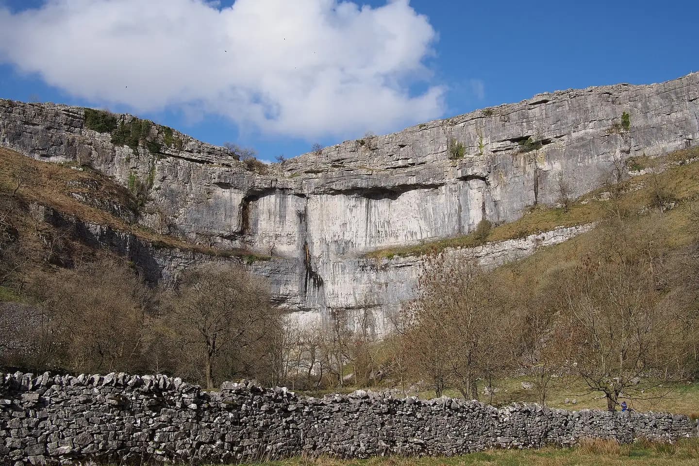 The great curved limestone cliff of Malham Cove above a dry-stone wall and trees
