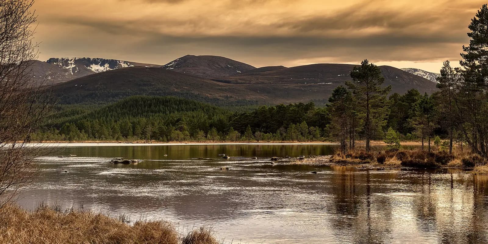 Loch Morlich at sunset, with pine trees on the shore and the Cairngorm mountains behind