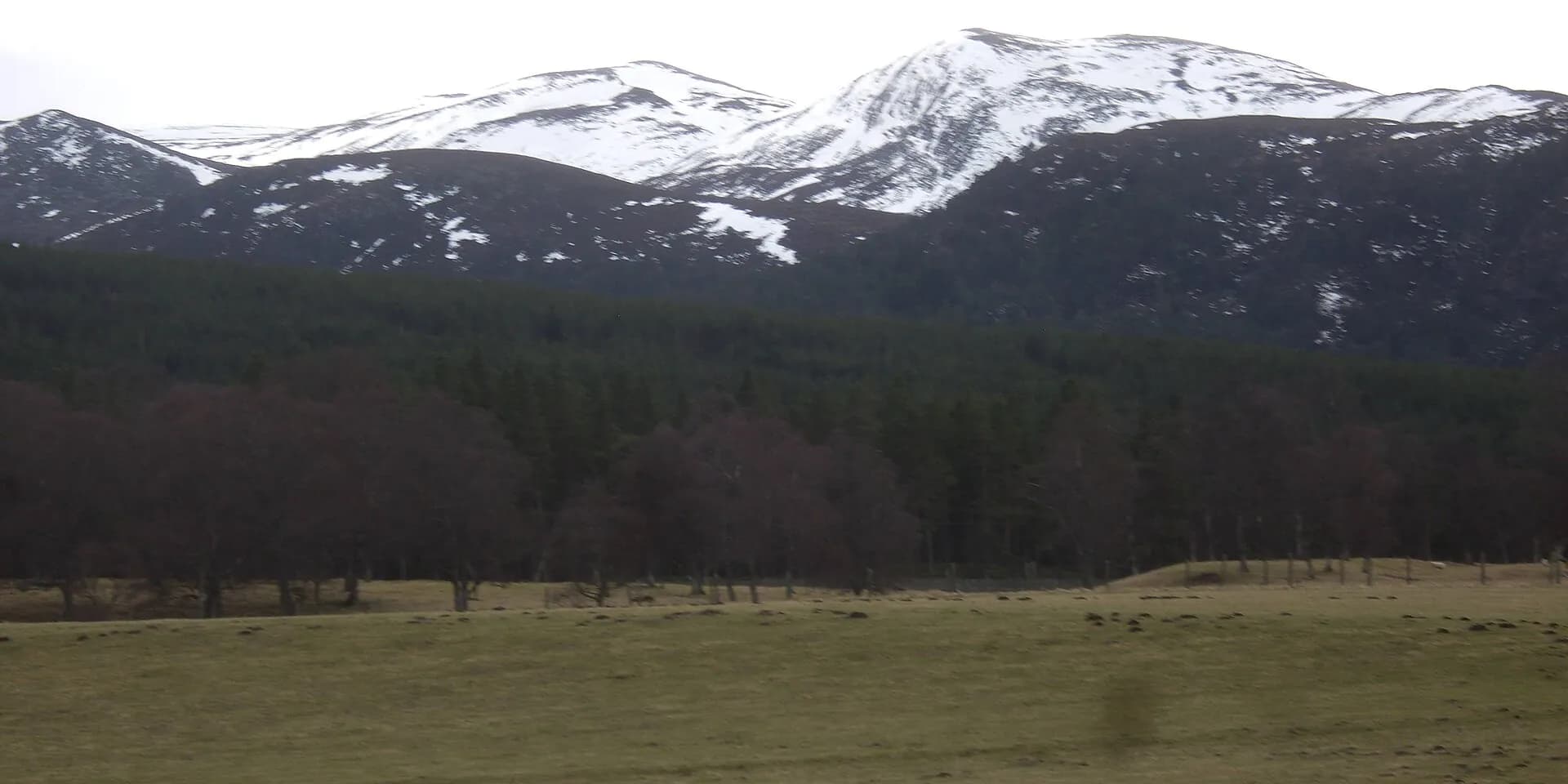 Snow-capped Lochnagar rising above dark pine forest and open moorland