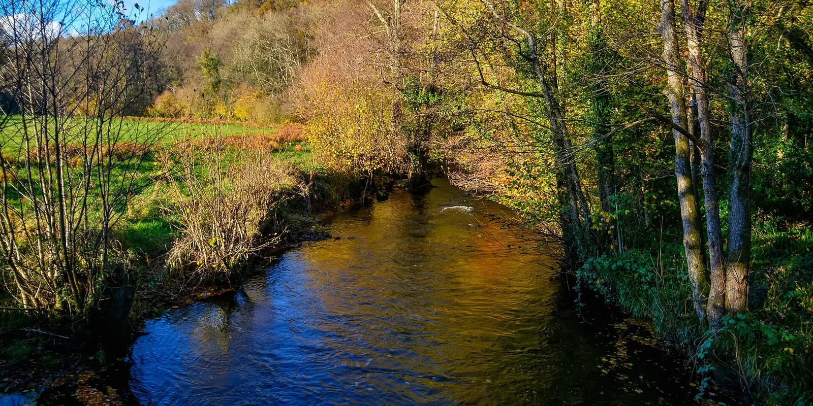 The River Bovey reflecting autumn trees and blue sky in Bovey Tracey