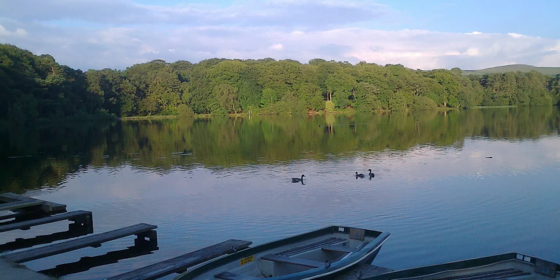 Rowing boats beside the still water of Talkin Tarn, with woodland on the far bank
