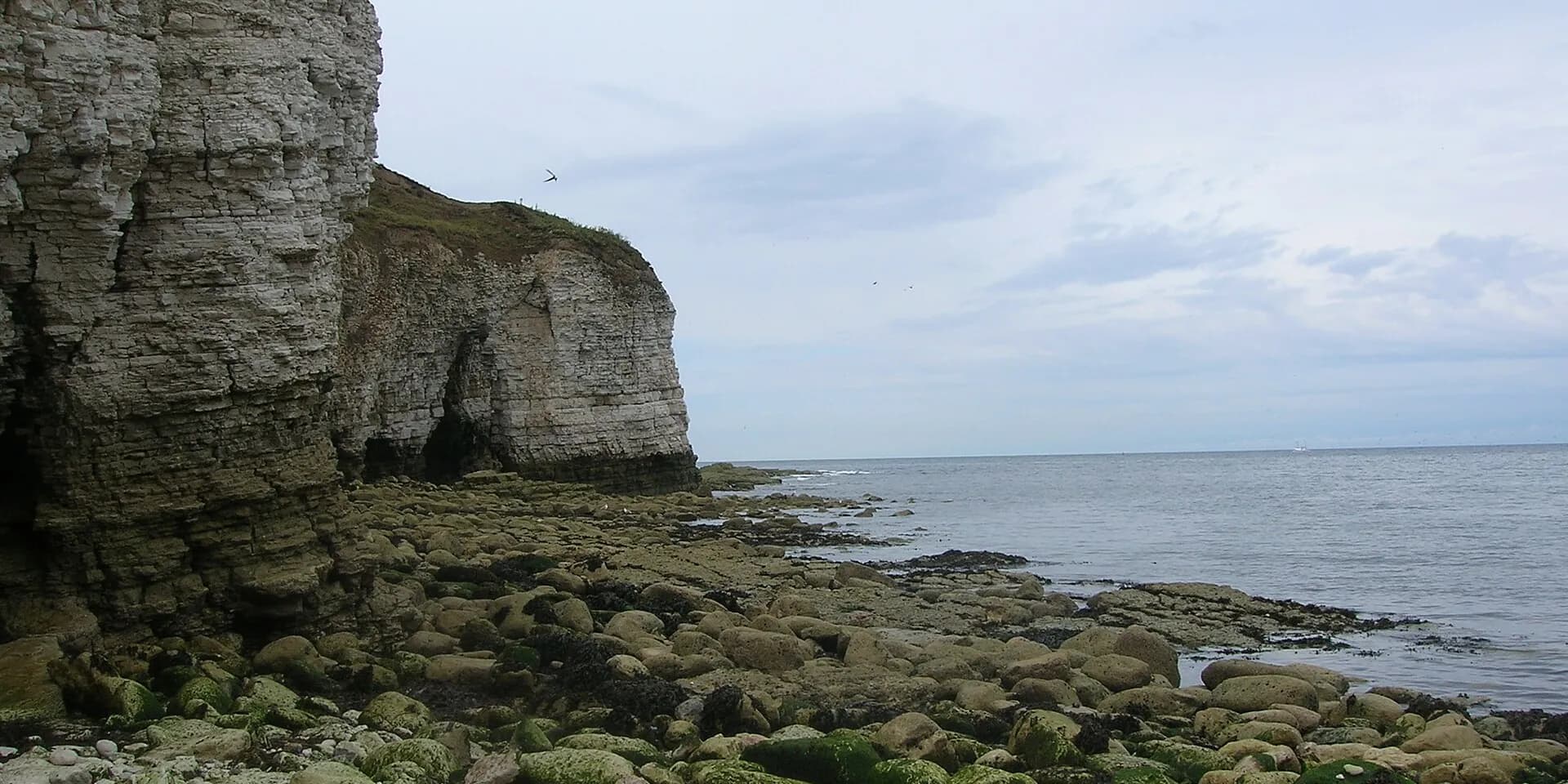White chalk cliffs and a rocky shore at Flamborough Head, beside a calm sea