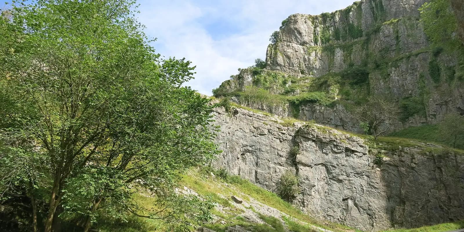 Grey limestone cliffs of Cheddar Gorge above green trees on a sunny day