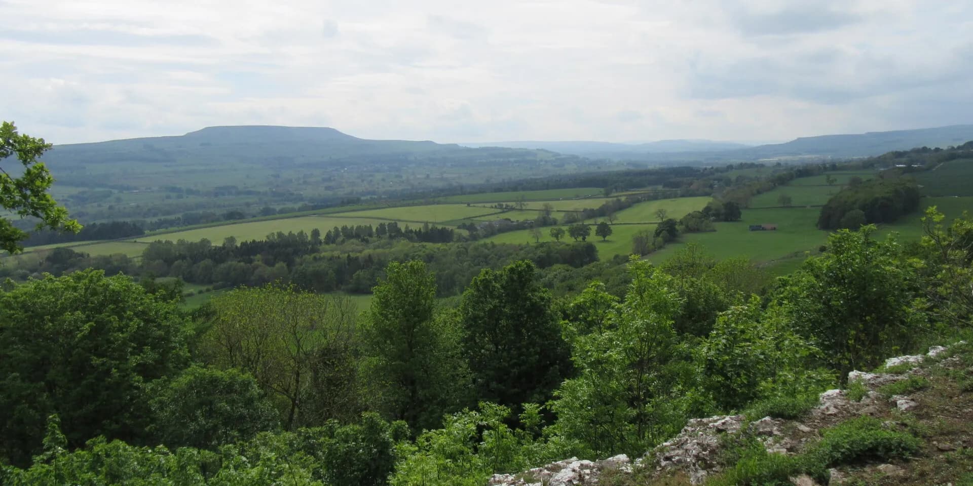 Wooded slopes falling away to the green fields of Wensleydale, seen from Leyburn Shawl